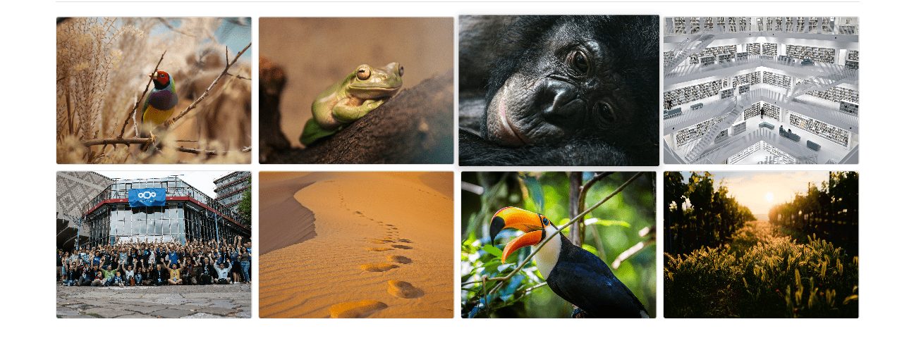 Gallery mode with 4 columns